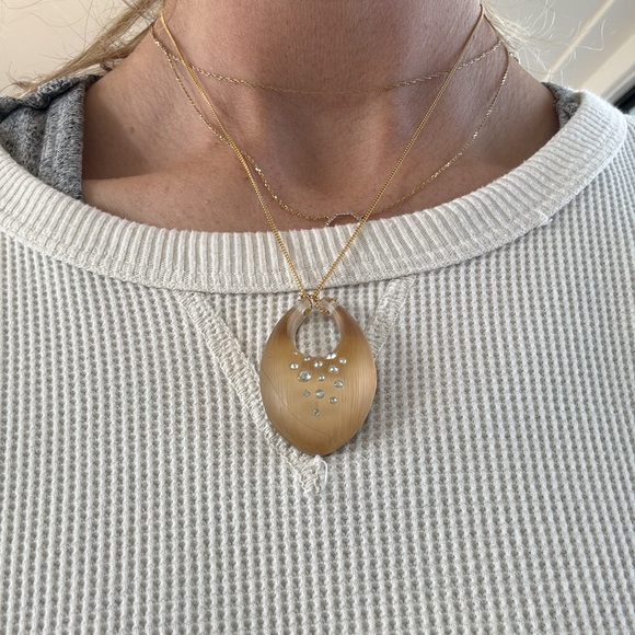 Alexis Bittar lucite pendant necklace - Picture 5 of 5